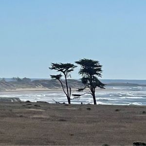 Meet your Posher, Leanne